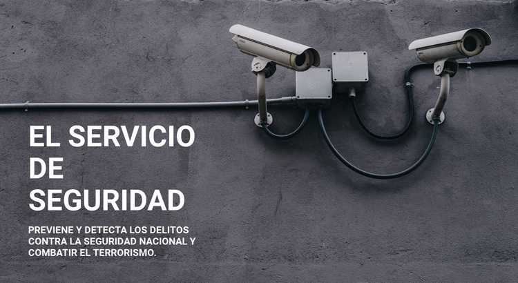 Seguridad CCTV Plantilla de una página