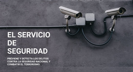 Seguridad CCTV - Plantilla De Página De Destino