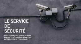 Sécurité CCTV Modèle D'Une Seule Page