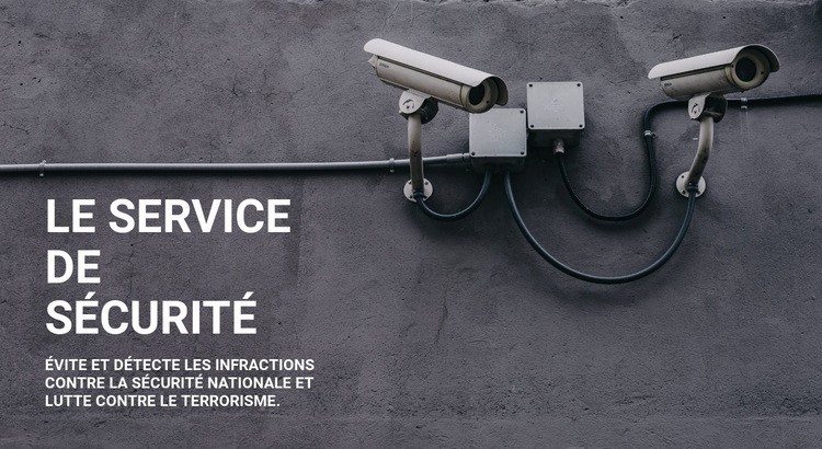 Sécurité CCTV Modèle