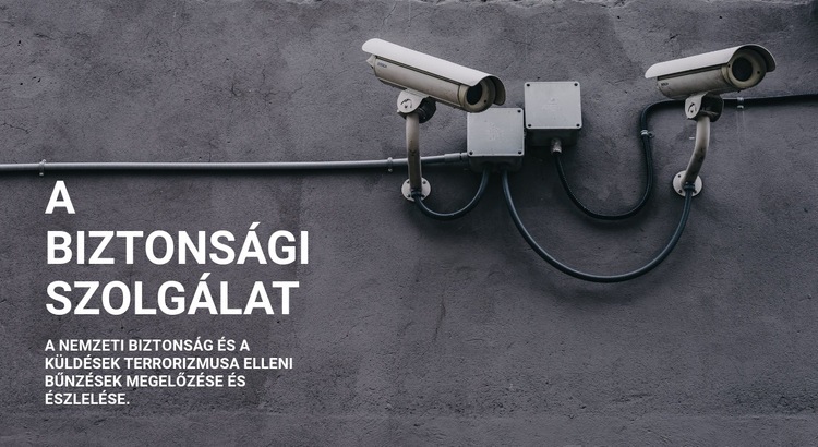 CCTV biztonság HTML Sablon
