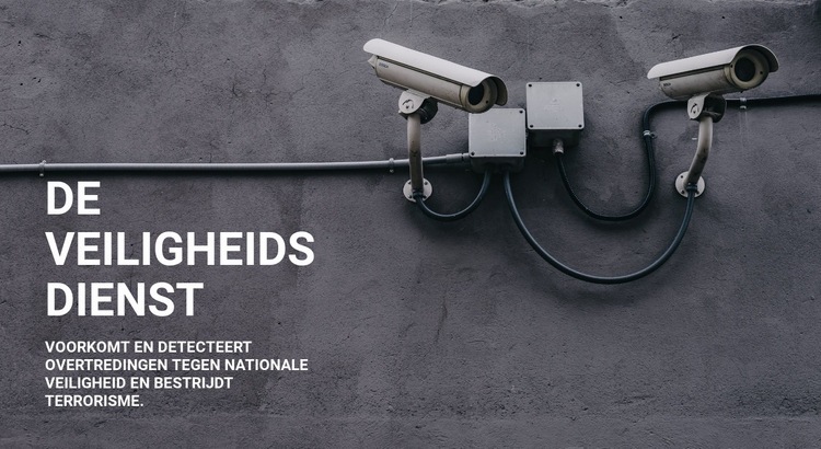 CCTV-beveiliging Website mockup