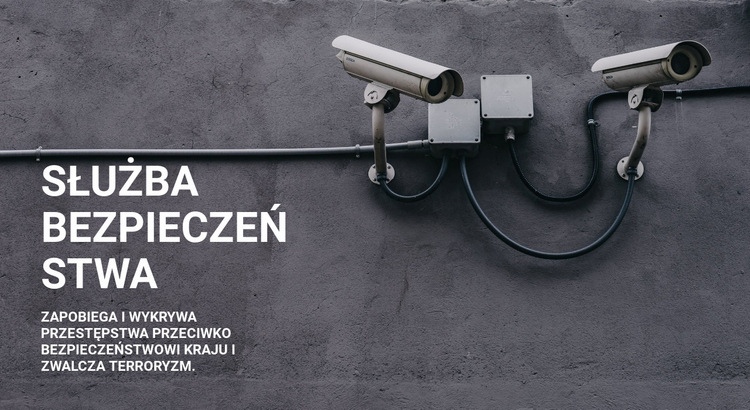 Bezpieczeństwo CCTV Projekt strony internetowej