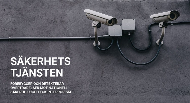 CCTV -säkerhet Mall