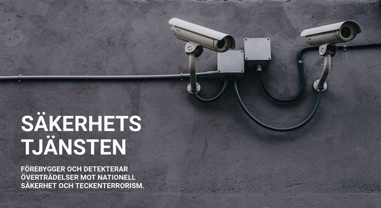CCTV -säkerhet Webbplats mall