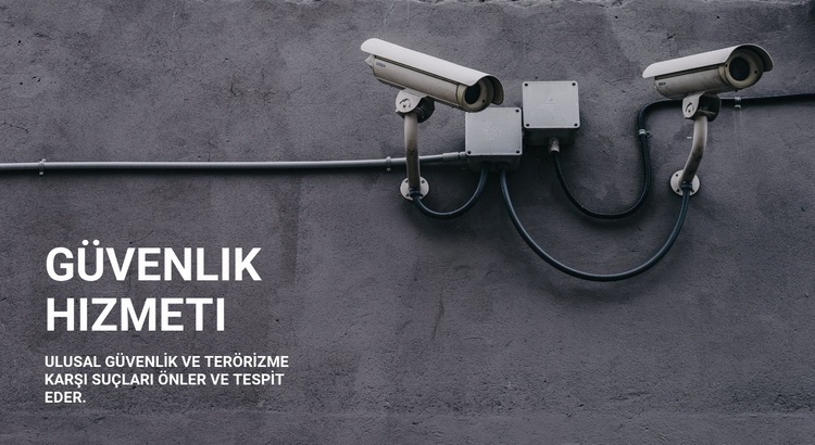 CCTV güvenliği Web Sitesi Mockup'ı