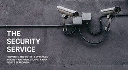 Exclusive Web Page Design For CCTV Security