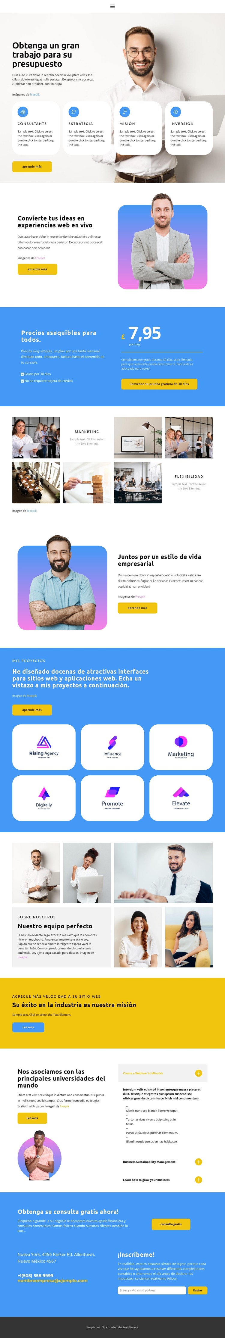 Primer número en el mercado Plantilla CSS