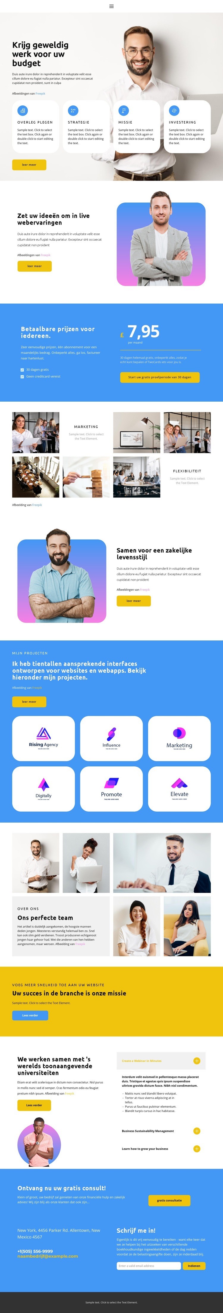 Eerste nummer op de markt Website mockup