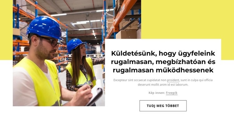 Hosszú távú tárolási lehetőségek Weboldal sablon