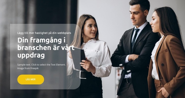 De bästa specialisterna CSS -mall