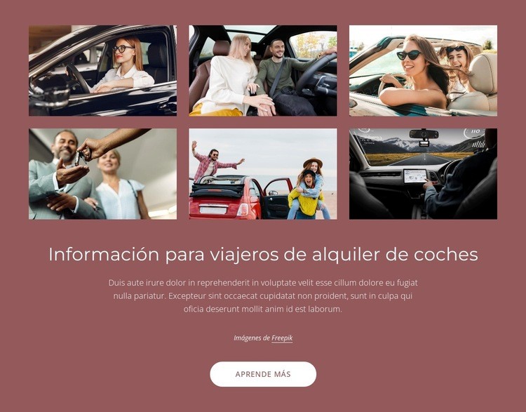 Información del viajero de alquiler de coches Diseño de páginas web