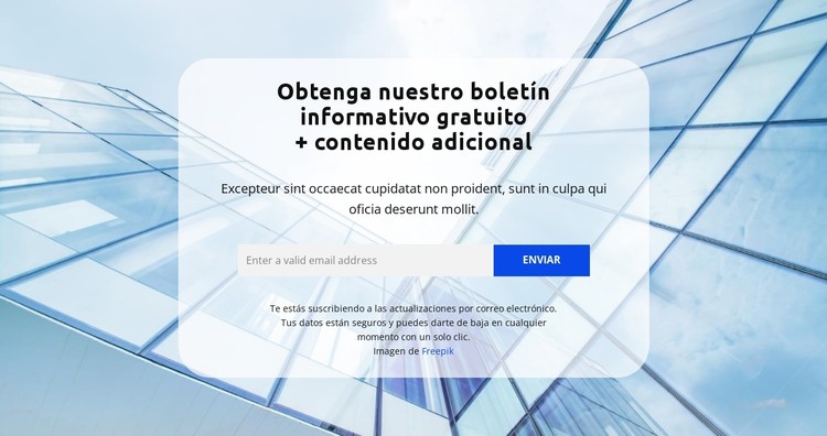 Nivel de experiencia Plantilla CSS