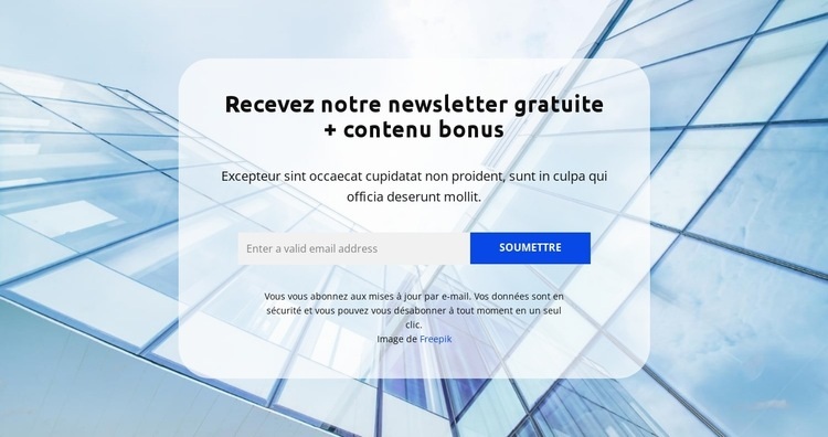 Niveau d'expertise Créateur de site Web HTML