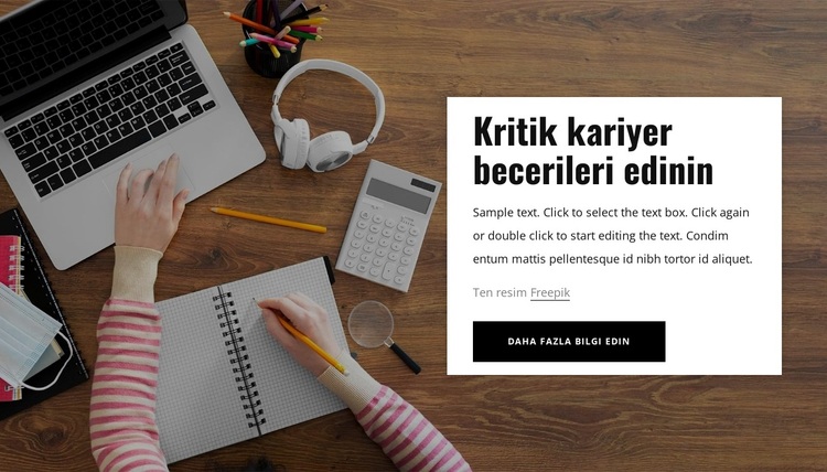 Kritik kariyer becerileri edinin WordPress Teması