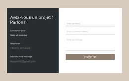 Formulaire De Contact Dans La Cellule De La Grille : Modèle De Site Web Simple