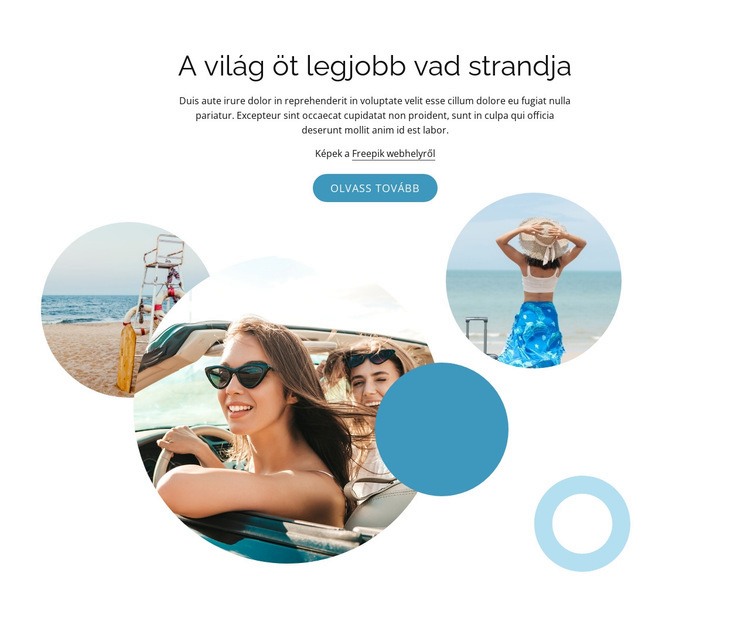 A legjobb vad strandok Weboldal tervezés