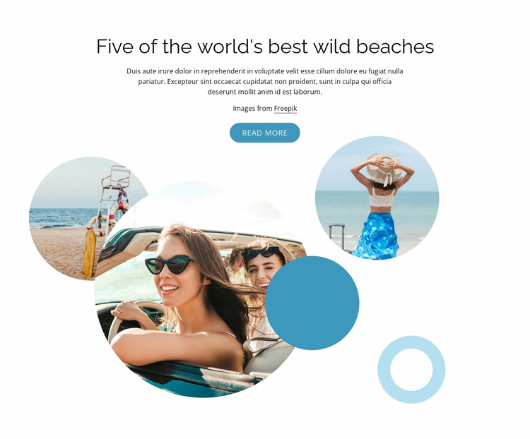 Best wild beaches Website Mockup