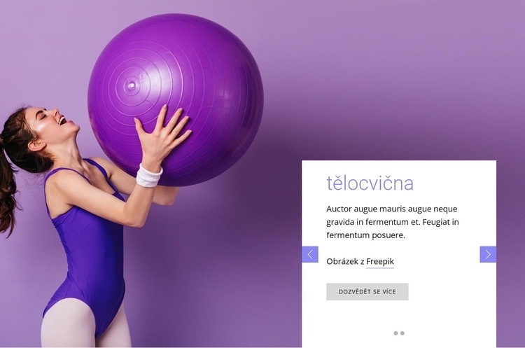 Prémiová fitness posilovna Webový design