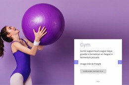 Salle De Fitness Haut De Gamme – Téléchargement Gratuit Du Modèle Joomla