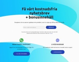 Temalayoutfunktion För Prenumerera Block Med Live Diagram Ikon