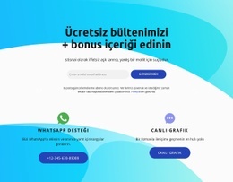 Canlı Grafik Simgesi Olan Abone Bloğu - Web Sitesi Şablonları