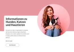 Informationen Zu Hund Und Katze Tierheime