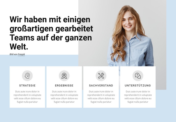 Professionelle Dienstleistungsfirma Website-Modell