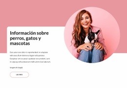 Información De Perros Y Gatos