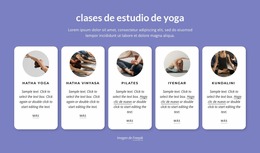 Clases De Estudio De Yoga