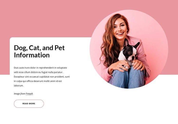 Kutya és macska információk Html Weboldal készítő