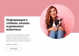 Информация О Собаках И Кошках