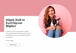 Köpek Ve Kedi Bilgileri