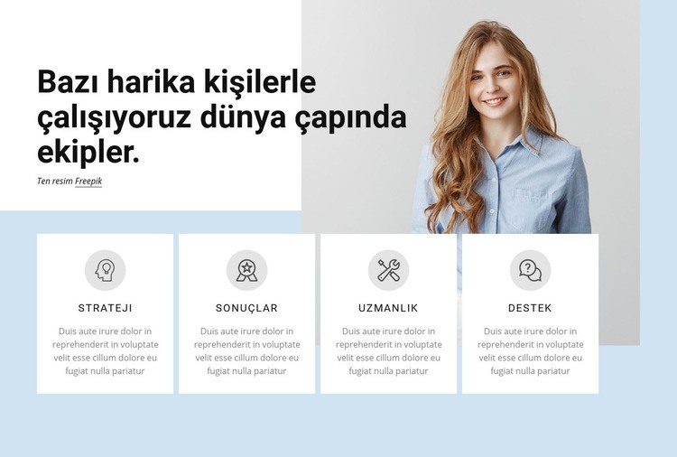 Profesyonel hizmet firması Web Sitesi Oluşturucu Şablonları