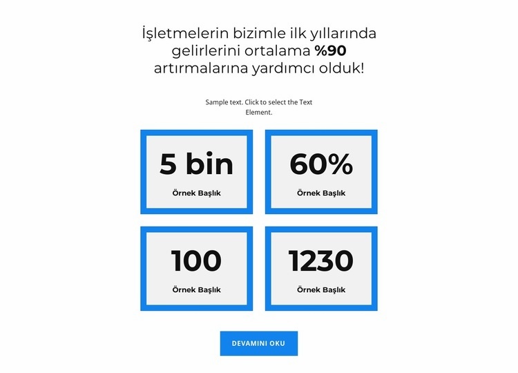 Profesyonel ihtiyaçlar Web Sitesi Mockup'ı