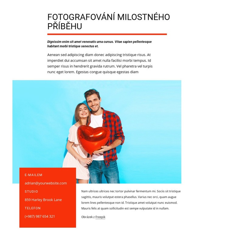 Fotografování milostného příběhu Webový design