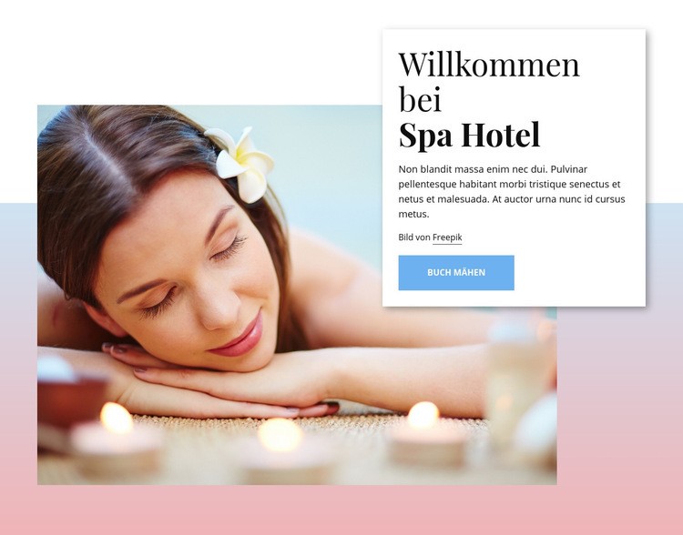 Willkommen im Spa Hotel Website design