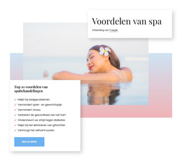 Gezondheidsvoordelen Van Spa - Modern WordPress-Thema