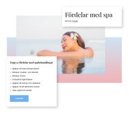 Hälsofördelar Med Spa Webbdesign