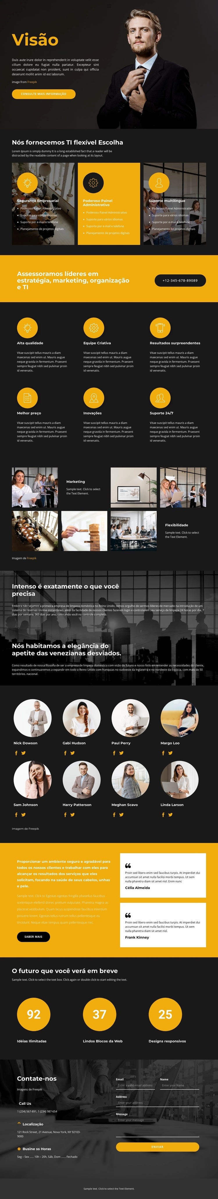 novidade de negócios Design do site