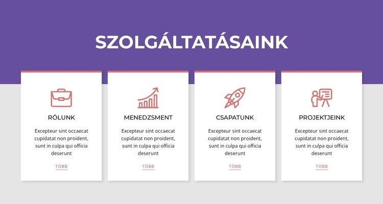 Szolgáltatások hálózati átjátszóban CSS sablon