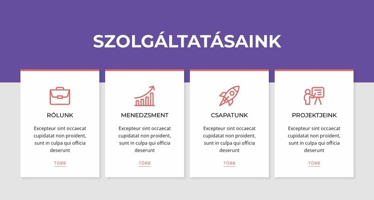 Szolgáltatások hálózati átjátszóban Weboldal tervezés