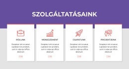 Szolgáltatások Hálózati Átjátszóban