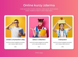 Nejlepší Bezplatné Online Kurzy – Vlastní Motiv WordPress