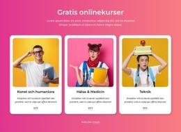 De Bästa Gratis Onlinekurserna