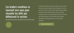 Leaders Mondiaux – Modèles De Sites Web Réactifs