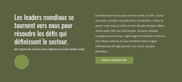 Leaders Mondiaux - Thème WordPress Ultime