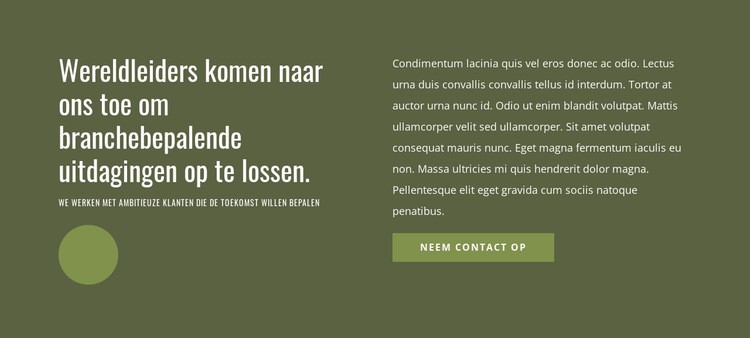 Wereldwijde leiders Website mockup