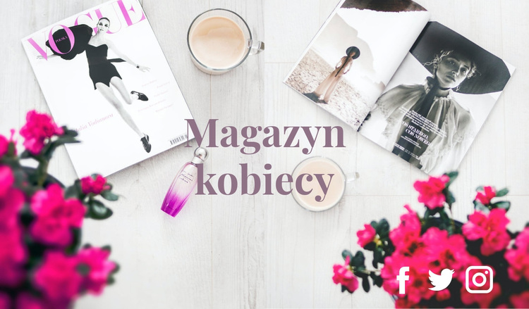 Magazyn modowy Motyw WordPress