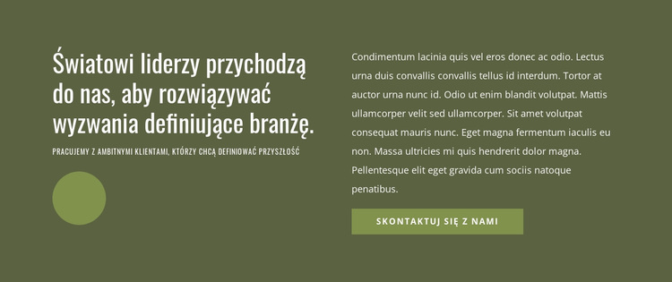 Światowi liderzy Motyw WordPress